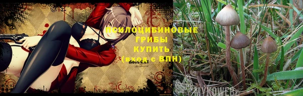 spice Абдулино