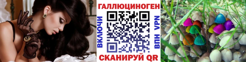 Галлюциногенные грибы Cubensis  Кирсанов 